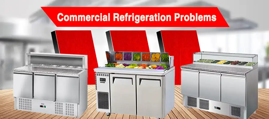 Display Refrigerator Problems